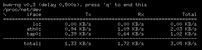 bwm-ng 0.3 screenshot